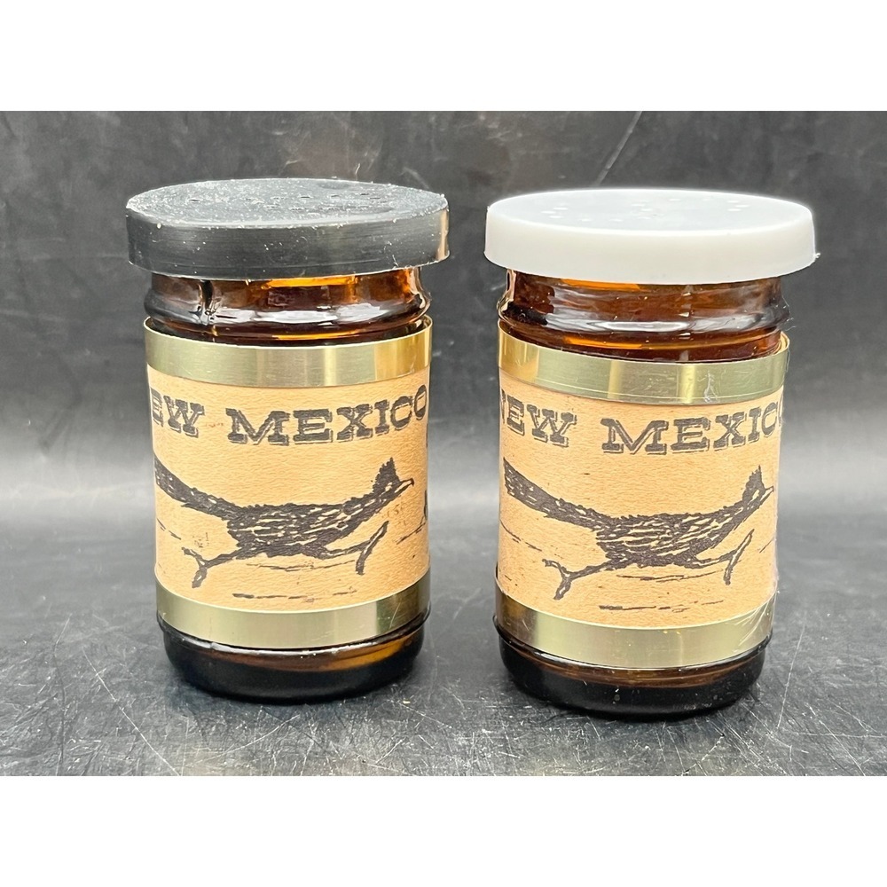 VTG New Mexico Souvenir Salt & Pepper Shakers-Road Runner- Glass Decorative